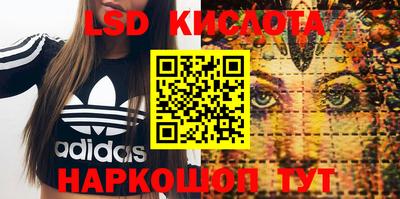 индика Новокубанск