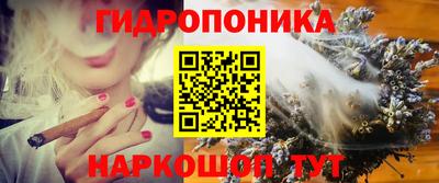 прущие грибы Новозыбков