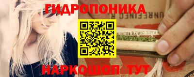 индика Новокубанск