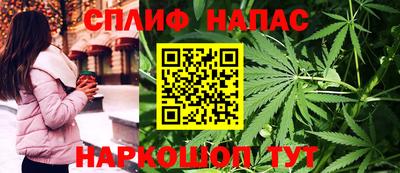 спиды Новодвинск