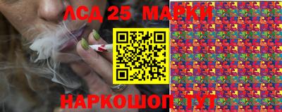 прущие грибы Новозыбков