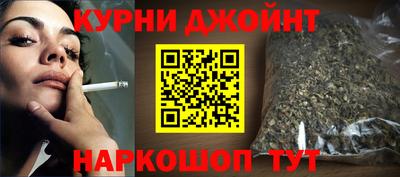 прущие грибы Новозыбков