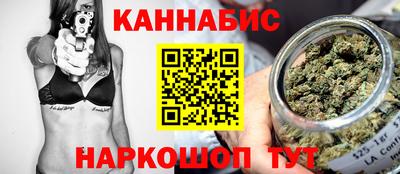 индика Новокубанск