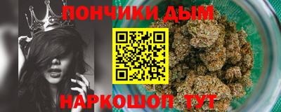 прущие грибы Новозыбков