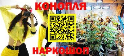 индика Новокубанск