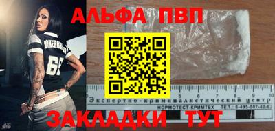 спиды Новодвинск