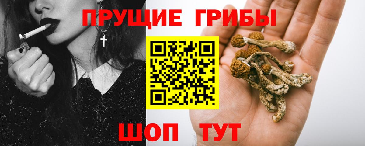 Псилоцибиновые грибы прущие грибы  Псилоцибиновые грибы мицелий  Вход с VPN  Рославль 